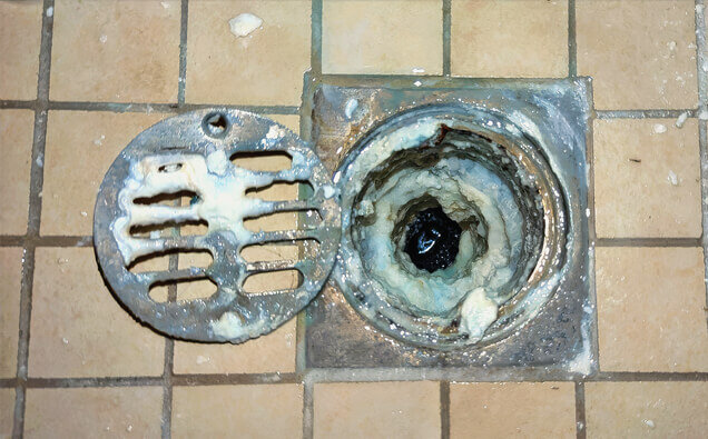 https://blockeddrainsthornlie.com.au/uploads/2025/07/blocked-shower-drains-33151.jpg