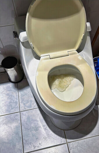 https://blockeddrainsthornlie.com.au/uploads/2025/07/blocked-toilet-27293.jpg