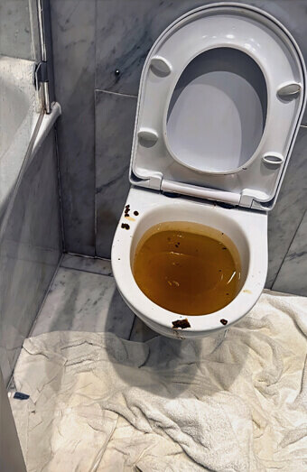 https://blockeddrainsthornlie.com.au/uploads/2025/07/blocked-toilet-27793.jpg