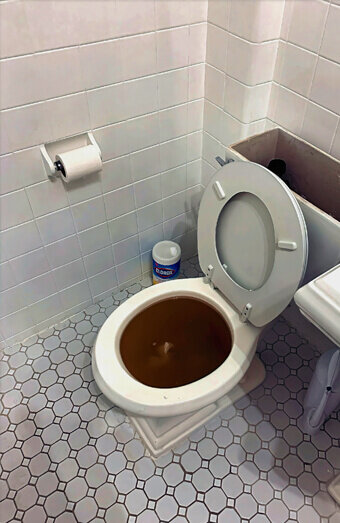 https://blockeddrainsthornlie.com.au/uploads/2025/07/blocked-toilet-99184.jpg