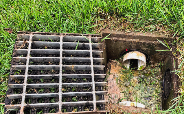 https://blockeddrainsthornlie.com.au/uploads/2025/07/hero-blocked-sewers-40191.jpg