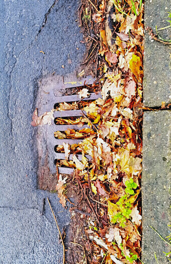 https://blockeddrainsthornlie.com.au/uploads/2025/07/stormwater-drains-48051.jpg
